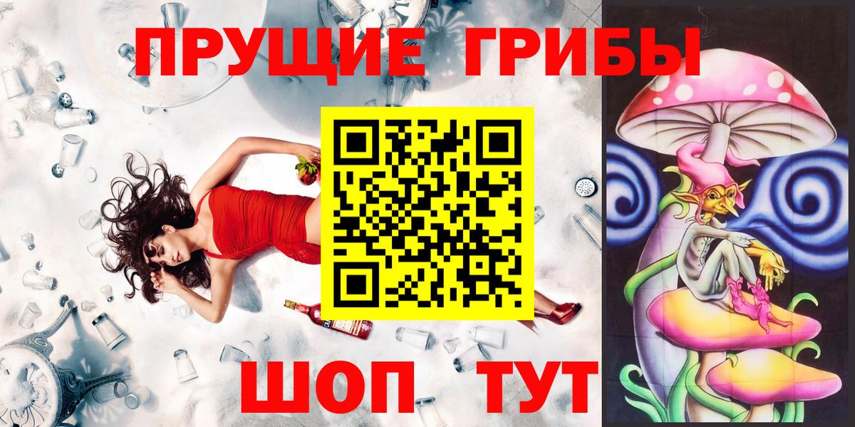 Галлюциногенные грибы Psilocybe  Вход с VPN  Псилоцибиновые грибы Magic Shrooms  купить наркотики сайты  Кудрово 